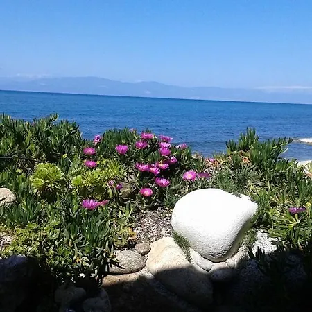 Apartament On The Beach *